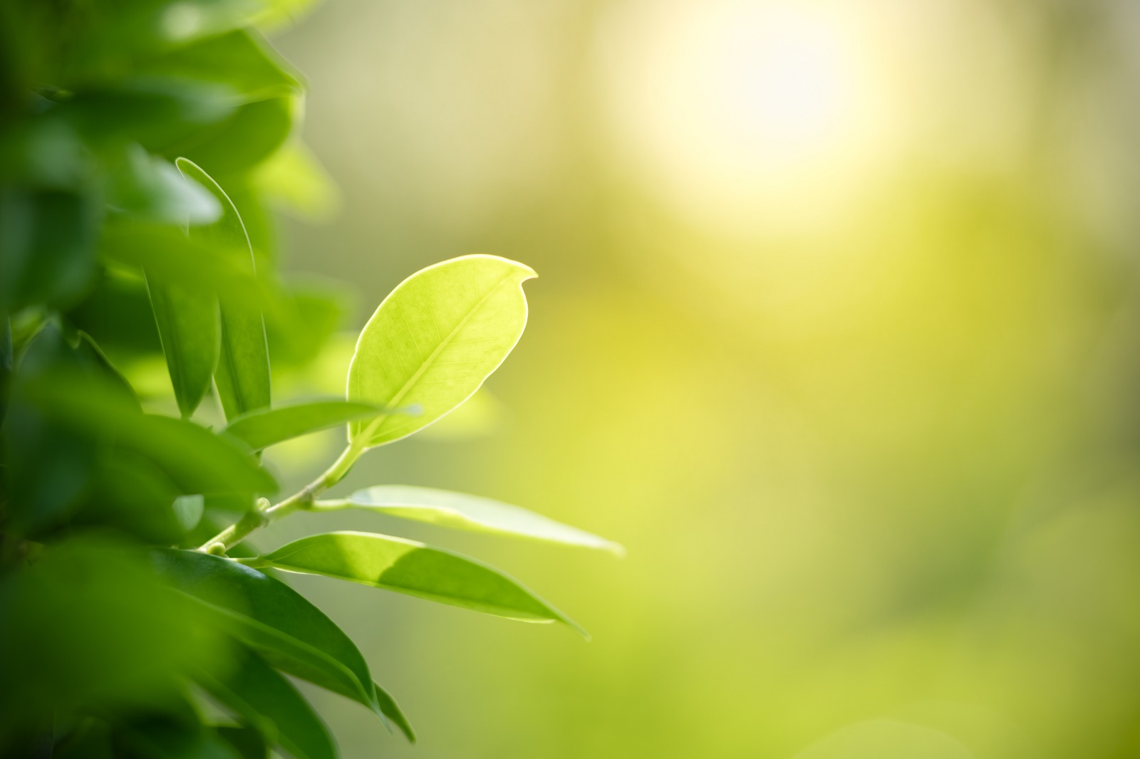 BUREAU VERITAS LISTED IN S&P GLOBAL SUSTAINABILITY YEARBOOK 2023