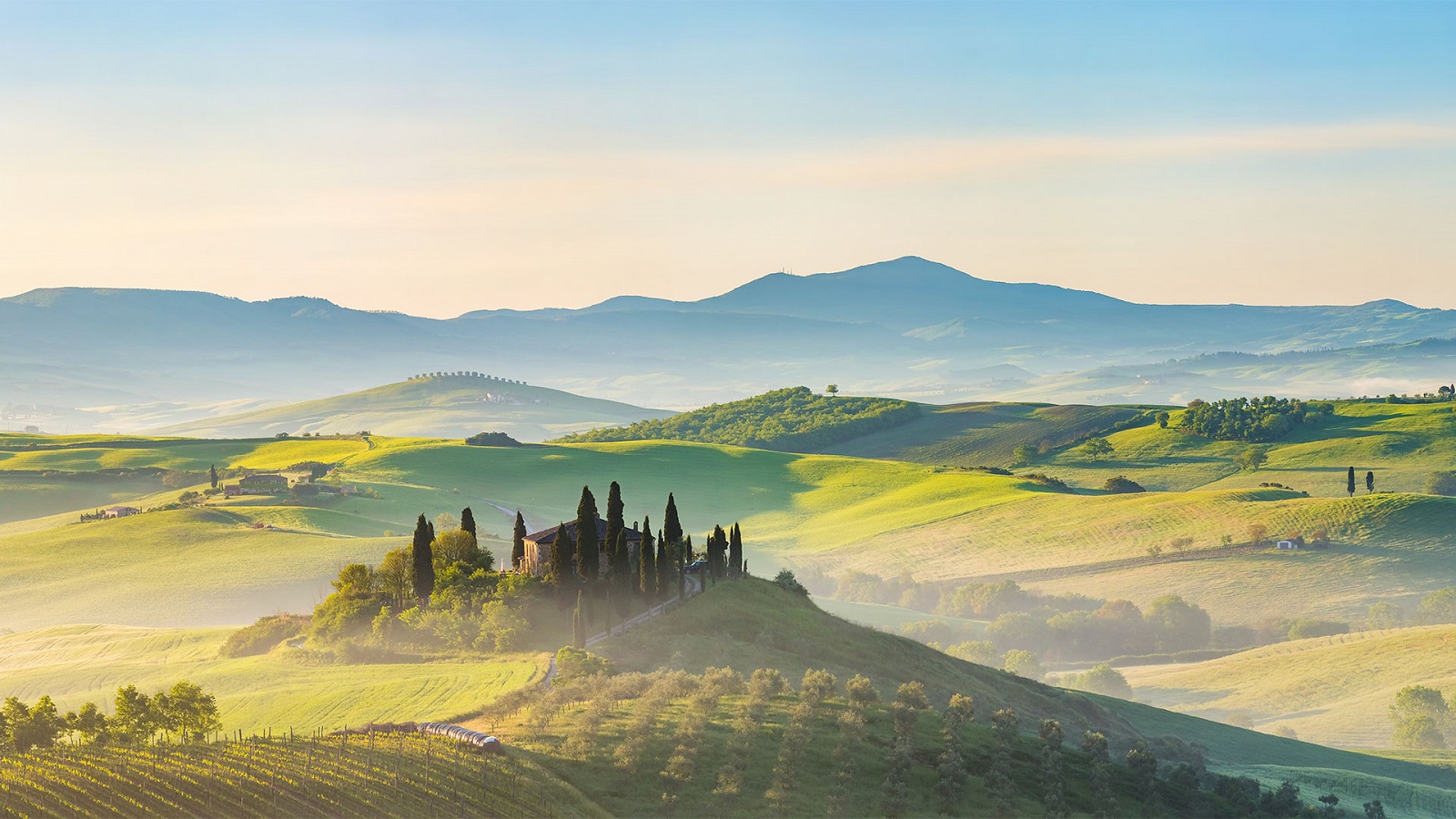 STRONG OPERATING AND FINANCIAL PERFORMANCE DELIVERED IN 2022; SOLID 2023 OUTLOOK