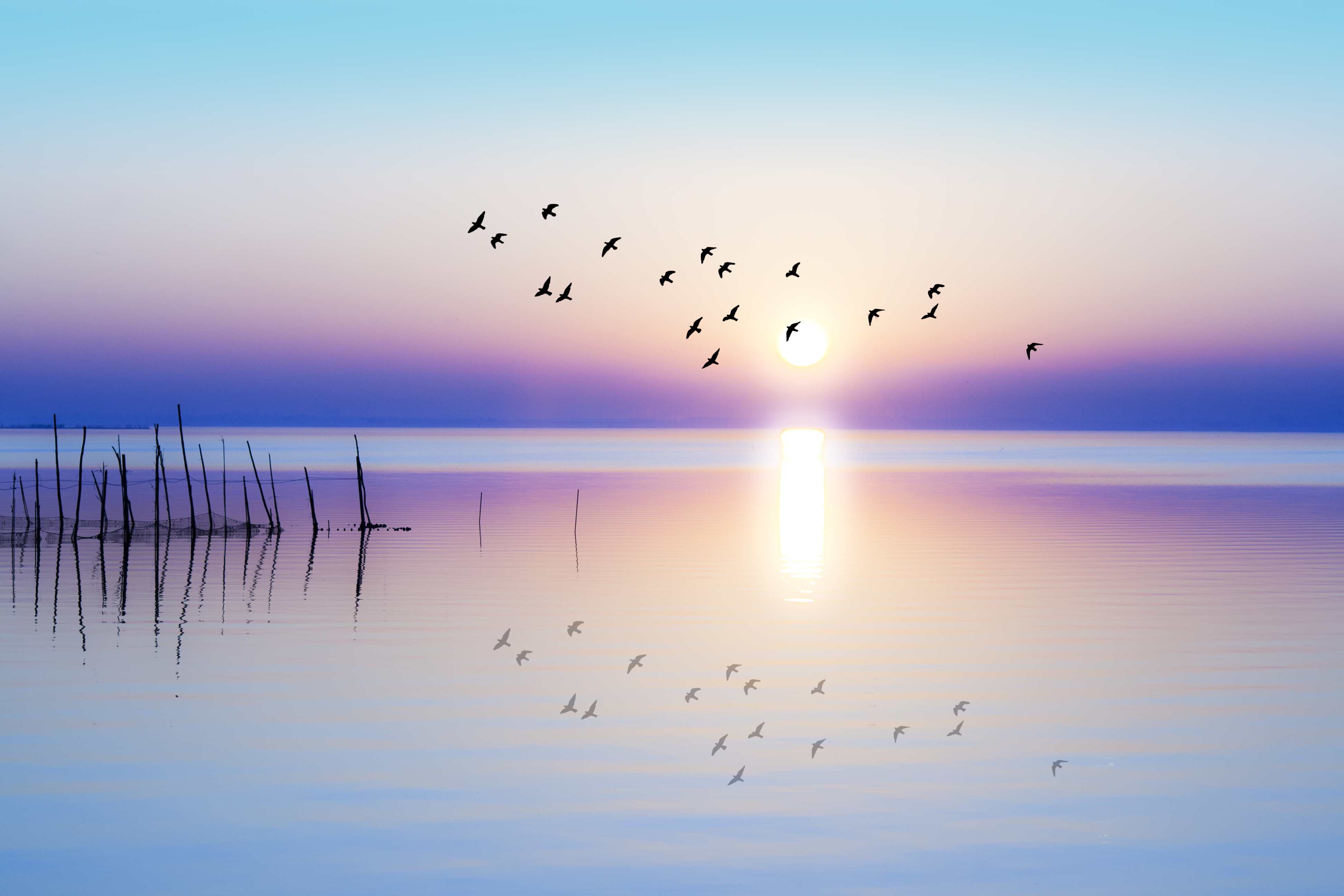  Bureau Veritas corporate governance