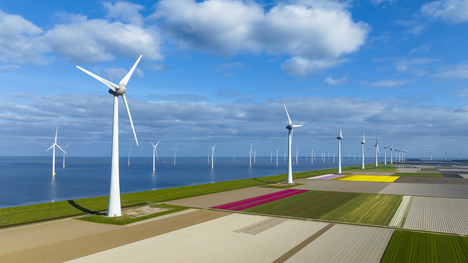 Wind turbine blades for the energy transition