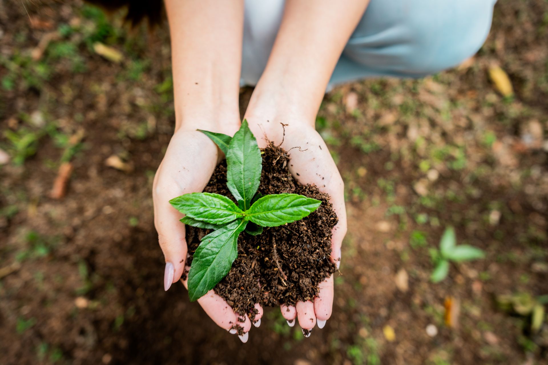ISO 14001: the 2026 revision | Bureau Veritas Hellas