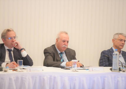 Mr George-Paul Perantzakis, Mr John Ioannidis,  Mr Dimitris Kostaras