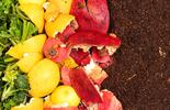 FOOD WASTE MANAGEMENT SYSTEM