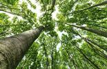 CARBON FOOTPRINT LIVE VIRTUAL CLASSROOM
