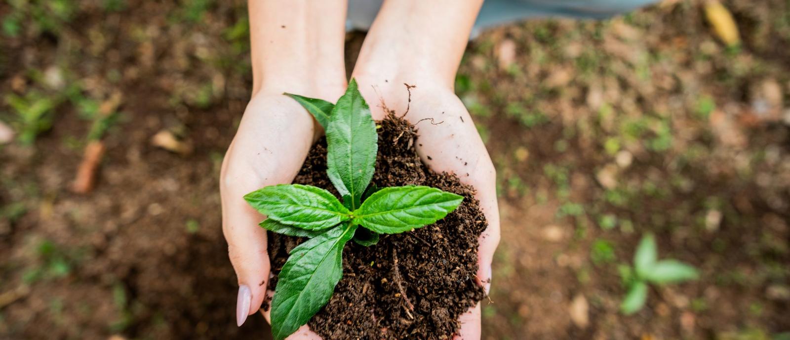 environmental management system update