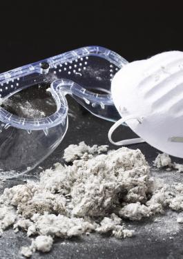 ASBESTOS MANAGEMENT