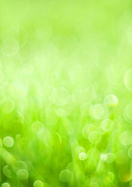 EXPERTISE FOR SUSTAINABILITY