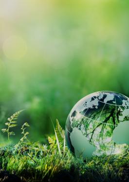 BUREAU VERITAS - SHAPING A BETTER WORLD