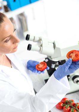 training greece food