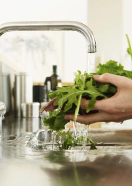 food standards training