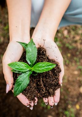 environmental management system update