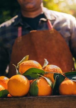 food certifications for Bureau Veritas Hellas