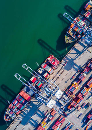 GOVERNMENT SERVICES  & INTERNATIONAL TRADE