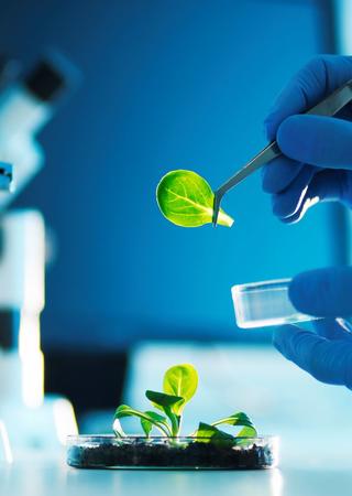 Testing Bureau Veritas Hellas