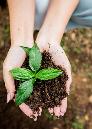 environmental management system update